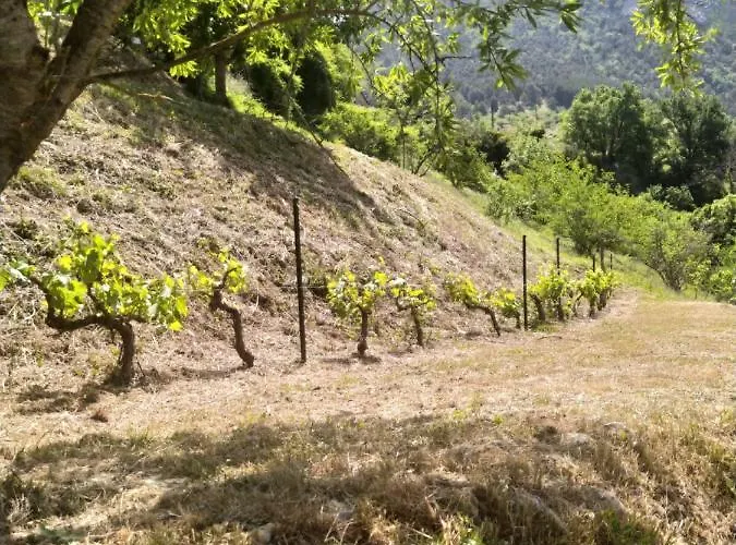 Le Paillier D'etienne. 度假居 *